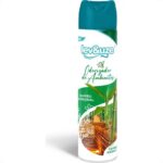 ODORIZADOR AMBIENTE BAMBU ARBORAL SPRAY 400ML/180G - LEV&UZE